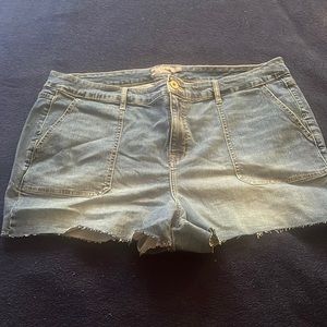 BRAND NEW TORRID SHORTS
